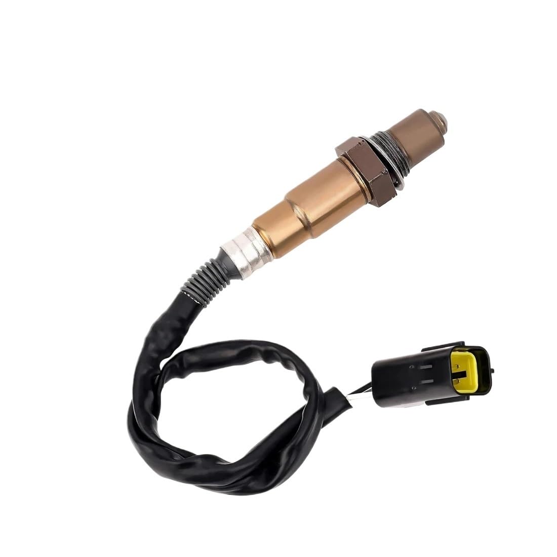 319026280000 pour Benelli