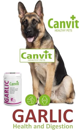 Canvit Knoblauchtabletten für Hunde & Katzen | Nahrungsergänzungsmittel Hunde mit Curcuma Unterstützung | Immununterstützung für Hund | Vitiman B12 Magen-Darm-Gesundheit und Verdauungsunterstützung |