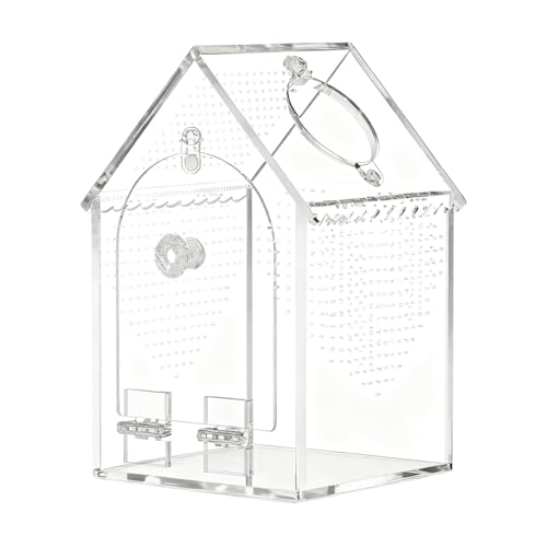 Terrario De Arañas - Tanque De Aislamiento...