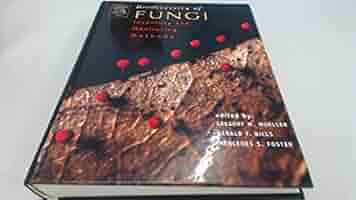 洋書 morpho-ecologies Morpho-Ecologies／Michael Hensel, Achim Menges｜建築書・建築