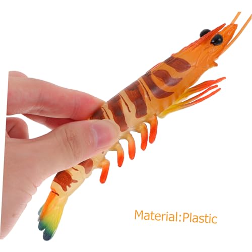 Toyvian Deko-Garnele Modell wie echt – Detailgetreue Simulation Meeresfrüchte Pädagogisches Naturkunde Spielzeug für Schule Kindergarten Robustes Kunststoff Tierfigur Set für Sammler Meeres-Deko