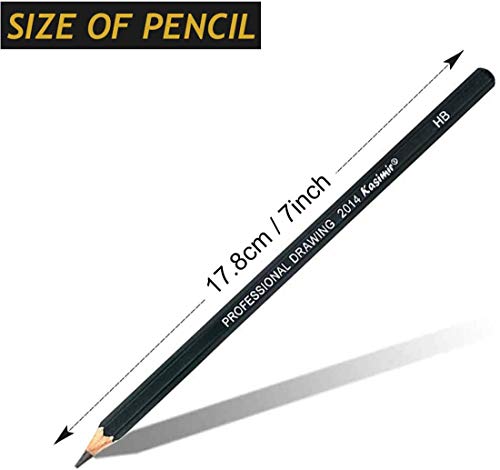 دياج تري مجموعة اقلام رسم للفنانين، 14 قطعة اقلام رسم 12B 10B 8B 7B 6B 5B 4B 3B 2B HB HB 2H 4H 6H اقلام رصاص جرافيت للبالغين والفنانين والطلاب المبتدئين المحترفين