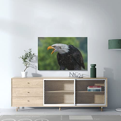 Tableau Pygargue à Tête Blanche décoration murale oiseau 90x60 cm - 3