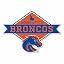 Boise State Broncos Diamond