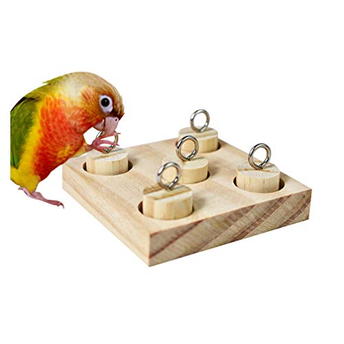 o[hgC  ؐ CR IE P V m\J 𚐊ߋ Fʔ\ DIY vOCubN ߋ XgX ^s ybgpi pi ֓ O  (X^C1)