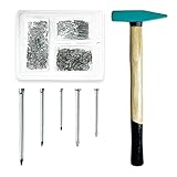 Tuplip Fe- Picture Hanging Kit, Nails Hammer Set, Assorted Nails 900pcs 5 Sizes with 100g Engineers'