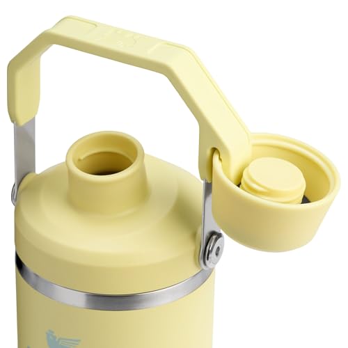 Image of STANLEY IceFlow 2.0 Fast Flow Tumbler, 30 oz, Pomelo | Angled Spout Lid | Lightweight and Leakproof for Travel and Sports | Easy Carry Handle | Insulated Stainless Steel | BPA-Free