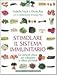Stimolare Il Sistema Immunitario. Gli Alimenti Chiave Per Sviluppare Le Difese Personali - 3