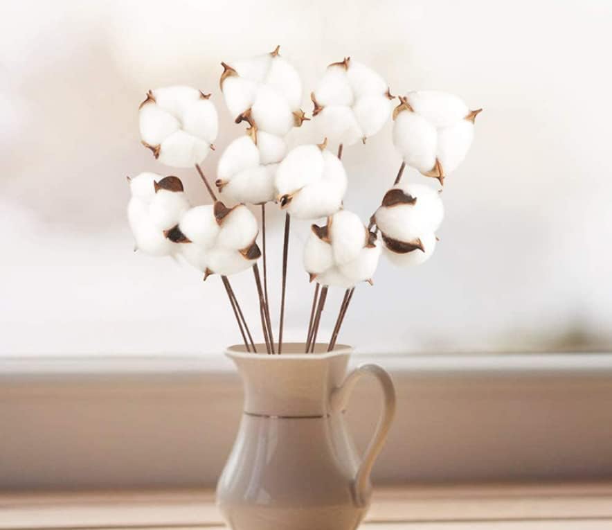 Miniatura 5 de Paquete de 10 tallos de algodón, algodón seco natural, decoración de algodón, para rellenos de jarrón, decoración de boda para el hogar