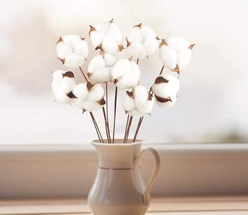 Xigui 10 Packs Cotton Stems thumb #4