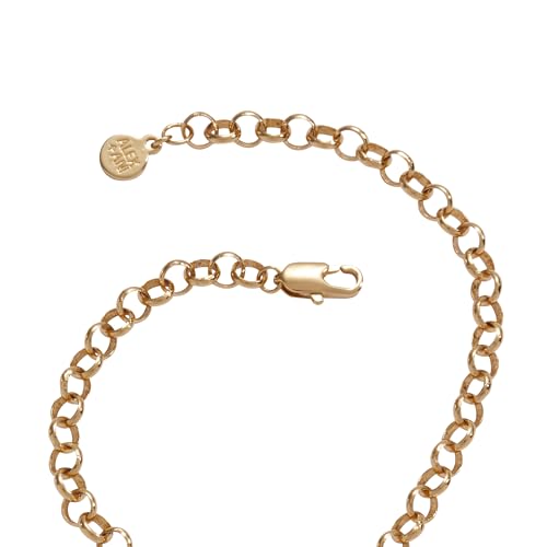 Alex and Ani Looney Tunes™ Tweety Jewelry3