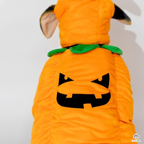 Disfraz de Calabaza para Perros Talla M miniatura 6