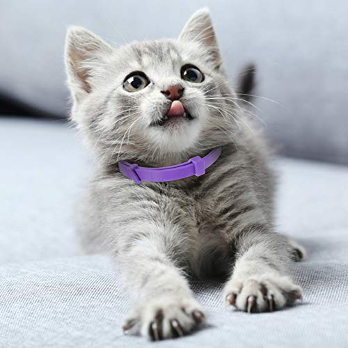 ULTECHNOVO 5Pcs Calmante Acalmar E Relaxar O Seu Gato Coleiras Coleiras para Gatos Ajustável Roxo