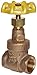 Apollo 106T Series Bronze Gate Valve, Class 150, Non-Rising Stem, 1/4" NPT Female