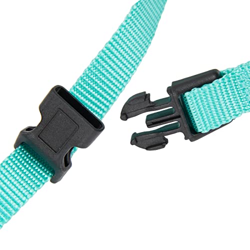 Quick-Release-Loop-Turquoise