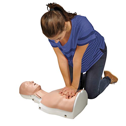 3B Scientific - BASICBilly sin el dispositivo de feedback