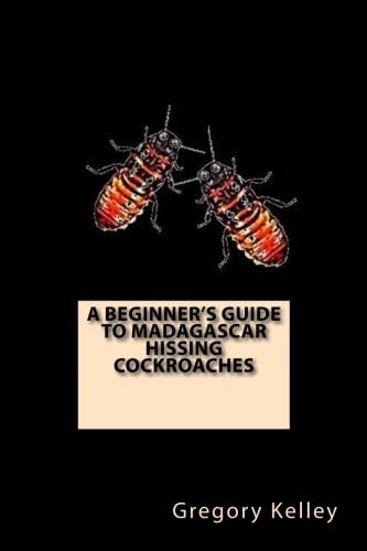 A Beginner's Guide to Madagascar Hissing Cockroaches Paperback โ Large Print, March 12, 2015