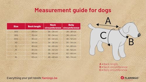 Abrigo Endor Beige 50cm cazadora acolchada para perros 3