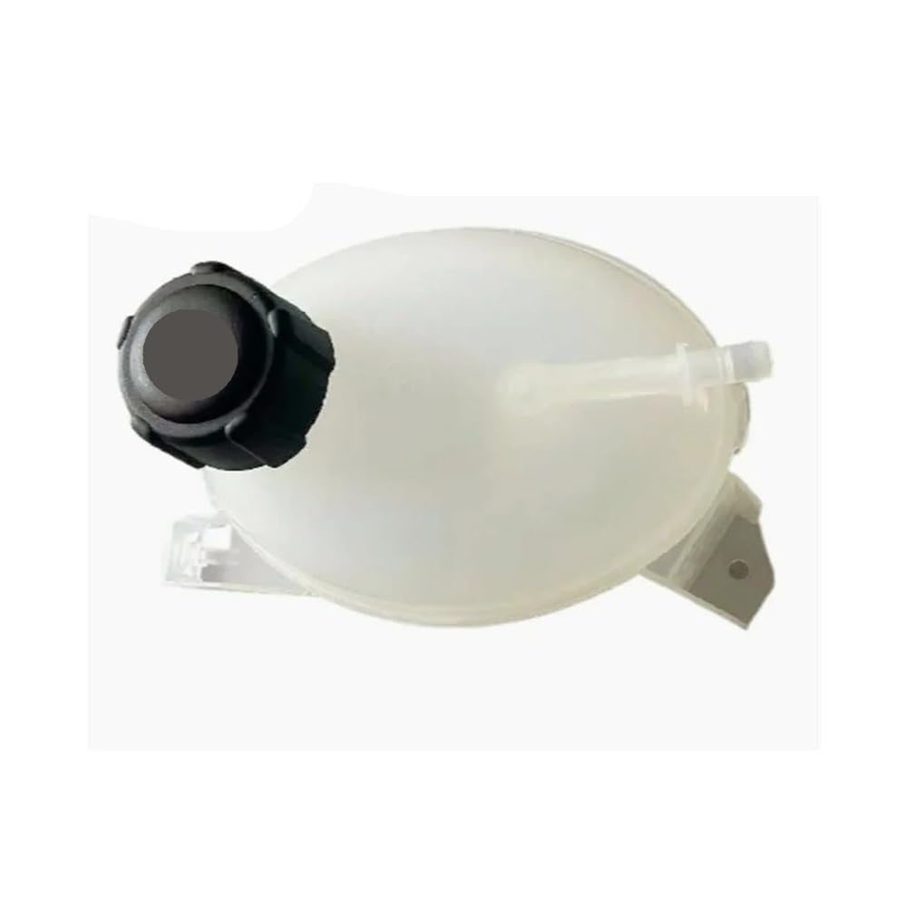 Hbfvz6tw One Color 217104354R Coolant Expansion With Cover For