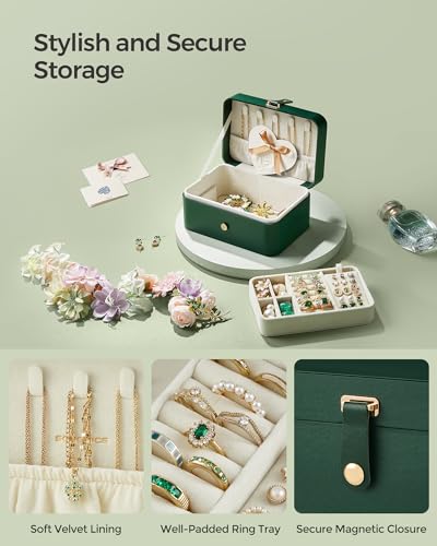 Image of SONGMICS Travel Jewelry Organizer, 2-Layer Portable Jewelry Box Case