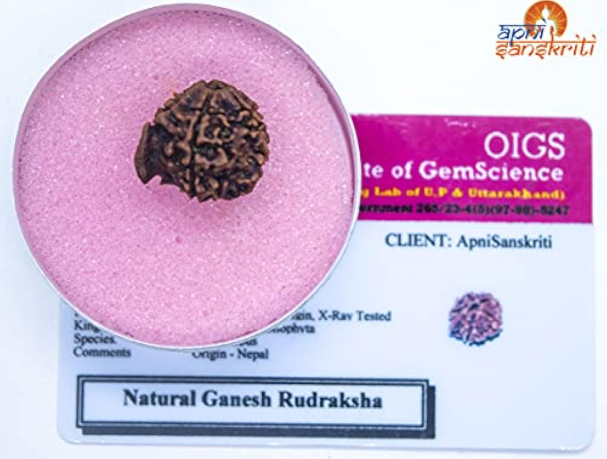 Ganesha Rudraksha Bead, Natural Brown, Certified