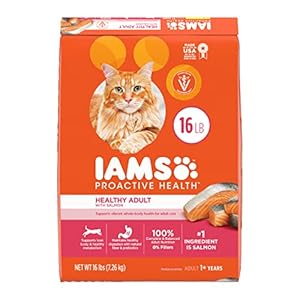 IAMS Proactive Health Adult Healthy Dry Cat Food with Salmon, 16 lb. Bag