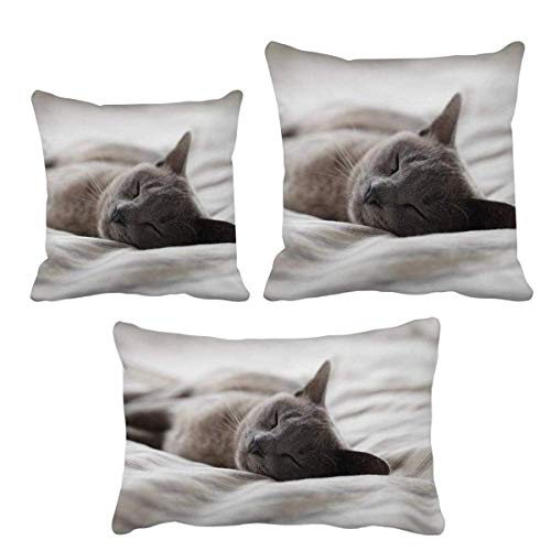 Housse de coussin chat gris de 45x45 cm pour la déco du salon