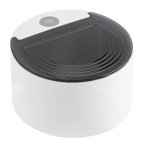 Garosa Limpiador Ultrasónico de Prótesis EU Plug