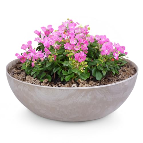 matches21 Pflanzschale für draußen - große Vintage Dekoschale Sand beige marmoriert als Blumentopf Pflanztopf - Schale in 37 x 10,5 cm als Garten Vogeltränke Balkon-Deko oder Friedhof Grabschale