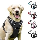 Fellstern Geschirr, Anti-Zieh Hundegeschirr mit Step-in Design – Atmungsaktiv & Gepolstert – Für entspanntes Spazierengehen – Kontrolle ohne Ziehen – Für Hunde jeder Größe