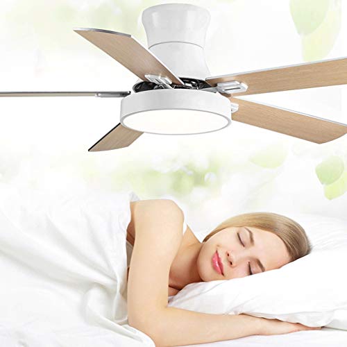 Plafonnier LED avec ventilateur de plafond invisible noir pour salon
