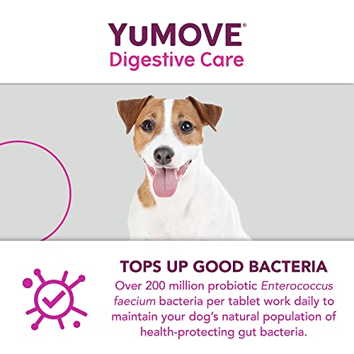 Yumpro Bioactiv Tablet (120 Tablets) #TOP2