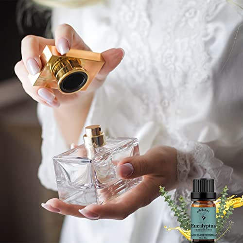 Yethious 4 Pack Lavender Jasmine Vanilla Eucalyptus Essential Oil Set Vanilla Essential Oil For Diffuser, Soap/Candles Making Jasmine Essential Oil - Lavender, Jasmine, Vanilla, Eucalyptus #TOP5