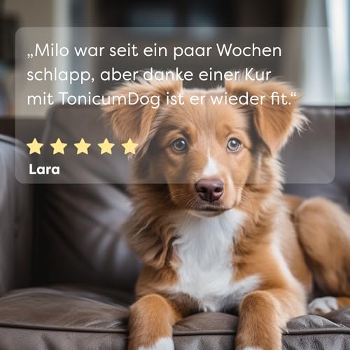 Dr. SAM Tonicum Dog Astronautenkost – flüssige Aufbau-Kur bei Appetitlosigkeit, mit Vitaminen, Proteinen & Spurenelementen, unterstützt Hunde nach Krankheit, OP oder Magen-Darm-Beschwerden, 280ml