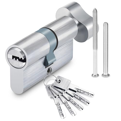 Cylindre de Serrure T30/30, Serrure à Cylindre 60 mm avec 5 clés, Convient pour portes de bureau, portes d'étude et de chambre à coucher, Serrure à Cylindre anti-casse