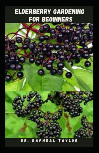 ELDERBERRY GARDENING FOR BEGINNERS: Step By Step Guide Own Your Elderberry Garden From Seed To Harvest ELDERBERRY GARDENING FOR BEGINNERS: Step By Step Guide Own Your Elderberry Garden From Seed To Harvest