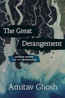 Great Derangement: Climate Change and the Unthinkable