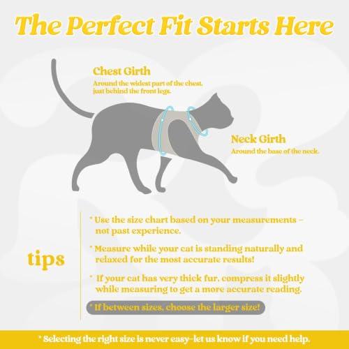 Image of rabbitgoo Cat Harness and Leash Set, Step-in Soft Vest, Bright Yellow | Escape Proof, Lightweight, Easy-on & Adjustable, Hook & Loop with Buckle, Reflective, for Kittens & Small Cats Walks, S