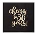 Produktbild Einwegservietten  50er Pack Luncheon Papierservietten, 30. Geburtstag, Hochzeit, Jubiläum, Partyzubehör, 3-lagig, Cheers to 30 Jahre Goldfolien-Design, gefaltet 16,5 x 16,5 cm Black, 6.5 x 6.5 Inches