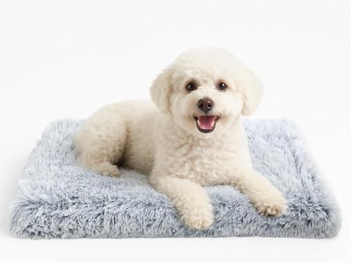 DONWEI Cuccia Cane Interno, Cuscino Cane Sfoderabile, Cuscino per Cani Pelosa, Base Antiscivolo, Peluche Soffice e Lavabile in Lavatrice, Grigio Ombré 50x40x5 cm