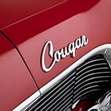 VEHASAYO Custom Car Emblems, Stainless Steel Word, Automotive Badges with Durable Metal Design and Firm Adhesive, Personalized Gift for Friends, Families. Compatible with Automobile, Motorcycle, Boat