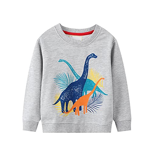 Hileelang Kids Boys Sweatshirt Crewneck Cotton Long Sleeve Pullover Grey Dinosaur Playwear Winter Tops Sweater Shirts Outfits 4T #TOP29