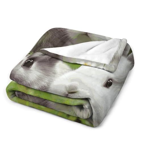 Couverture de luxe en microfibre motif lapins pour lit douillet