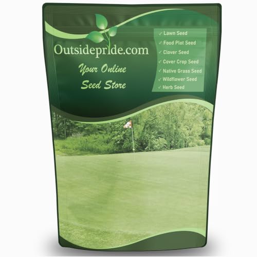 Outsidepride Yukon Bermuda Grass Seed &ndash; 2 lb Cold‑Tolerant Hybrid Turf