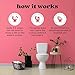 Poo-Pourri Before-You-Go Toilet Spray, Tropical Hibiscus, Travel Size 10 mL - Hibiscus, Apricot and Citrus