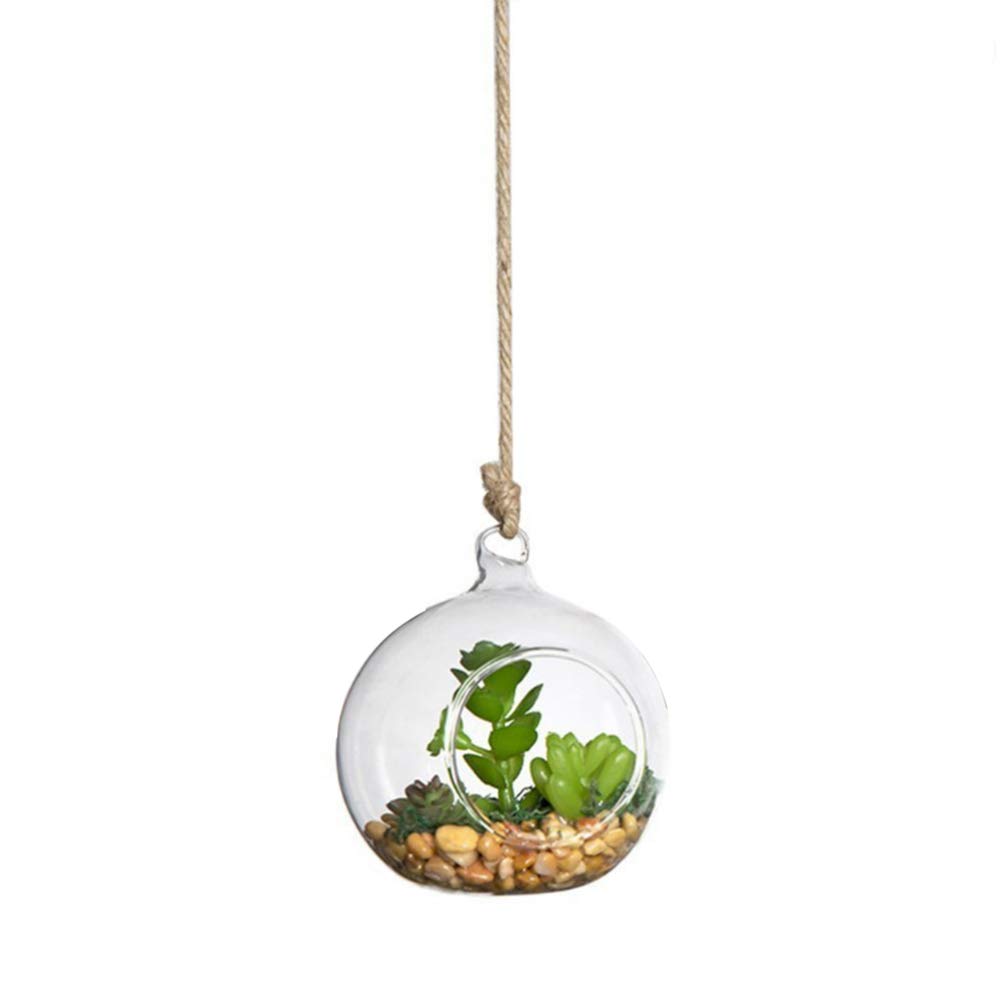 Yardwe Sembradoras de Vidrio Colgantes de Pared Sembradoras Transparentes Colgantes de Cristal Terrario Florero de Bolas de Vidrio para Plantas de Flores suculentas 1 Pieza