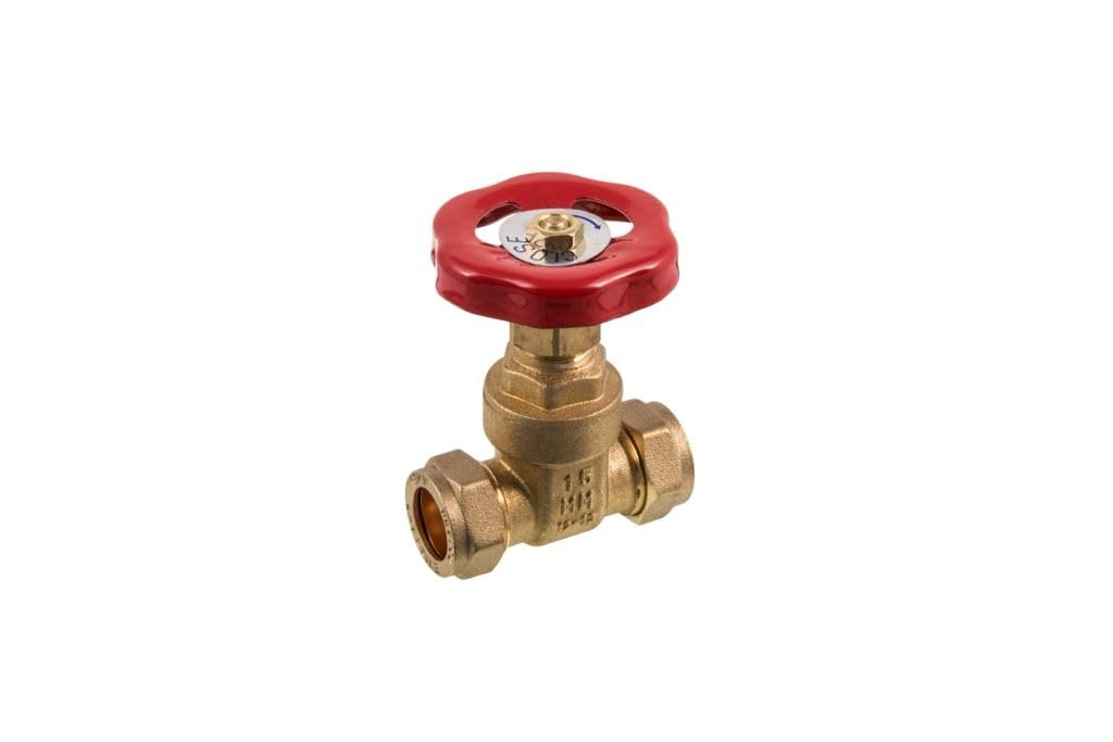 Securplumb CXC Brass Gate Valve (22mm) (Brass)