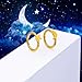 ALACLO 2Pcs Star Moon Nose Rings Hoop, 16g 316L Surgical Steel Cartilage Hoop Earrings for Women Men, Labret Lip Tragus Helix Daith Piercing Jewelry 8mm Gold