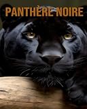  Panthère Noire: La Vie Extraordinaire des Panthère Noire