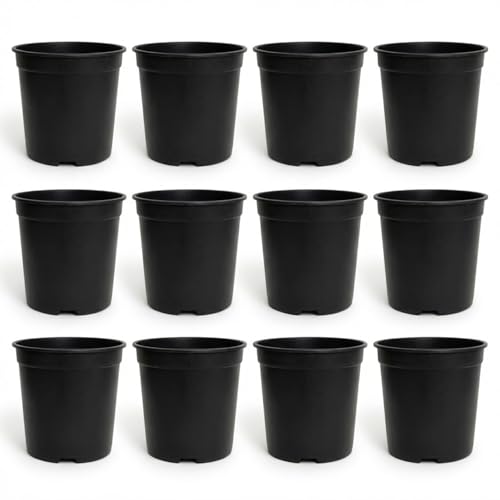 Image of 6 Inch Heavy Duty Plastic Planter | Grower Pot /Garden Pot for Home & Garden (Black) (Pack of 12)